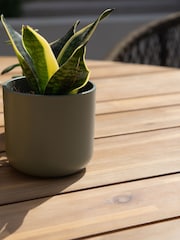 Maze Sandstone Garden Bali Rope Weave 4 Seat Round Dining Set - Image 5 of 6