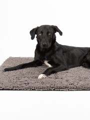 Scruffs Grey Dog Noodle Dry Mat - Image 1 of 5