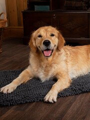 Scruffs Grey Dog Noodle Dry Mat - Image 2 of 5