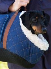 Scruffs Blue Wilton Dog Carrier - Image 2 of 5