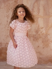 Phase Eight Pink Alice Flower Fit and Flare Dress - Image 1 of 8