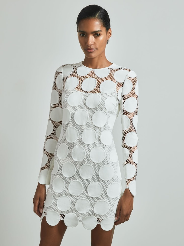Reiss Ivory Serena Atelier Sheer Embroidered Mini Dress - Image 1 of 6