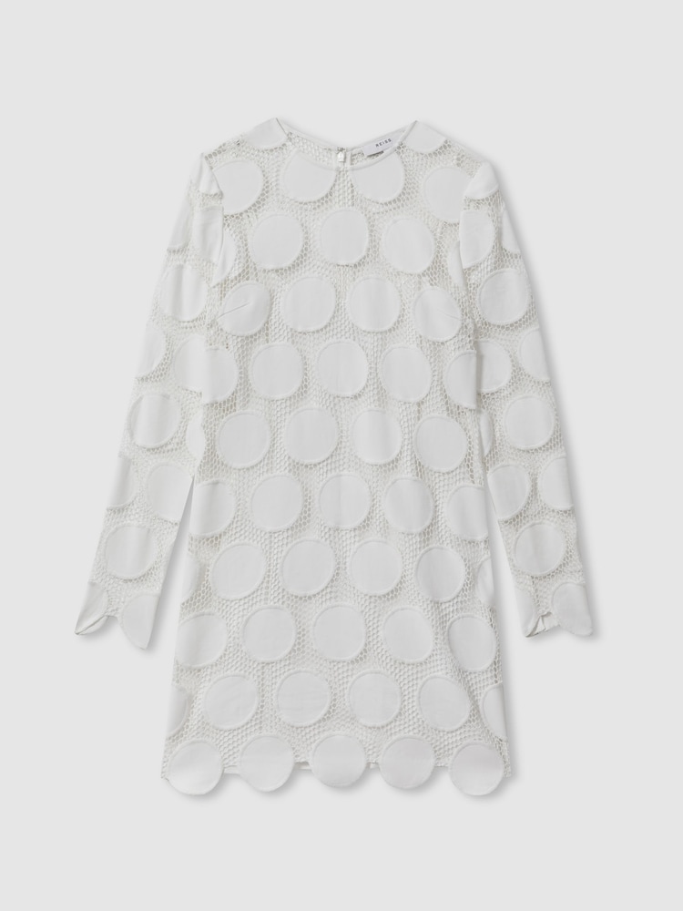 Reiss Ivory Serena Atelier Sheer Embroidered Mini Dress - Image 2 of 6