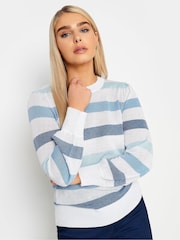 M&Co Cream Stripe Space Dye Jumper - Image 1 of 4