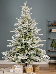Everlands Green/White Pre Lit Micro LED Grandis Fir Snowy Christmas 7ft Tree - Image 1 of 6
