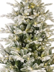 Everlands Green/White Pre Lit Micro LED Grandis Fir Snowy Christmas 7ft Tree - Image 5 of 6