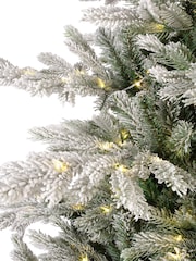 Everlands Green/White Pre Lit Micro LED Grandis Fir Snowy Christmas 8ft Tree - Image 5 of 6