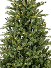 Everlands Green 7ft Pre Lit LED Allison Pine Christmas Tree - Image 4 of 6