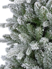 Everlands Green Slim 7ft Killington Fir Frosted Christmas Tree - Image 4 of 6