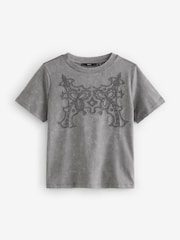 Grey Western Embroidered 100% Cotton Sparkle T-Shirt - Image 5 of 6