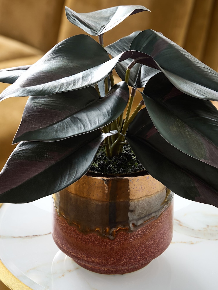 Green Artificial Variegated Plant In Reactive Glaze Pot - Image 2 of 4