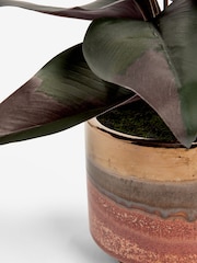 Green Artificial Variegated Plant In Reactive Glaze Pot - Image 4 of 4