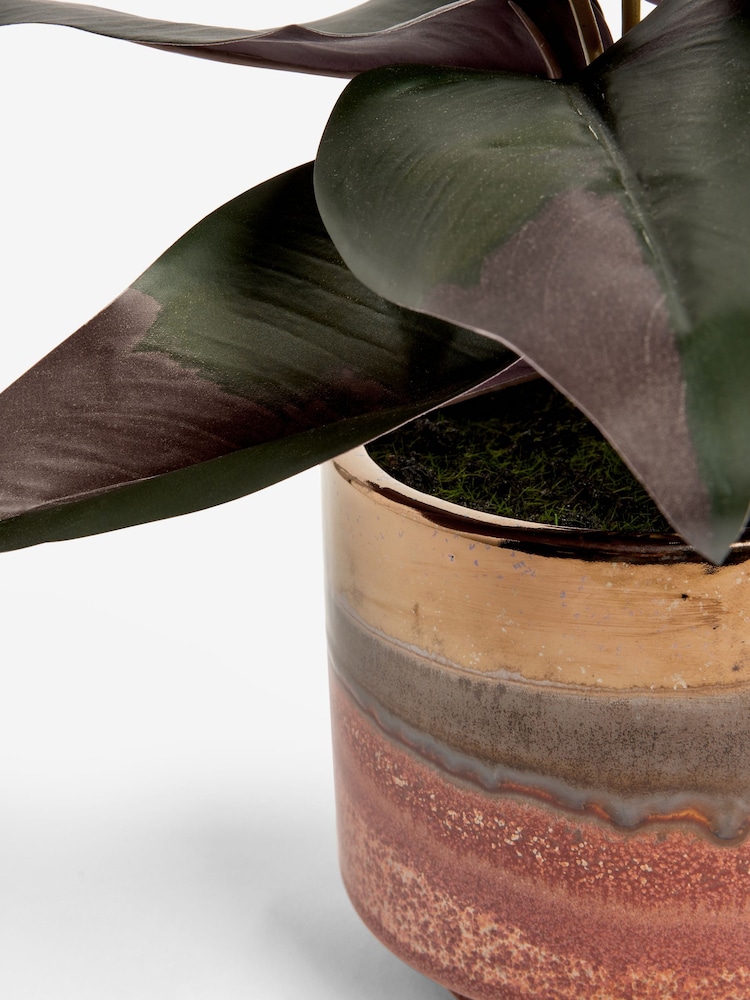 Green Artificial Variegated Plant In Reactive Glaze Pot - Image 4 of 4