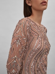 Raishma Embellished Tulle Maxi Dress - Image 3 of 5