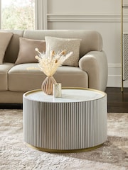 Light Grey Valencia Mango Wood Coffee Table - Image 1 of 5