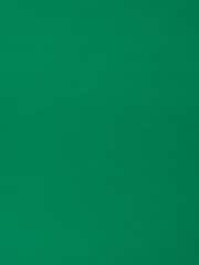 Adrianna Papell Green Bell Sleeve Tie Front Dress - Imagem 7 de 7