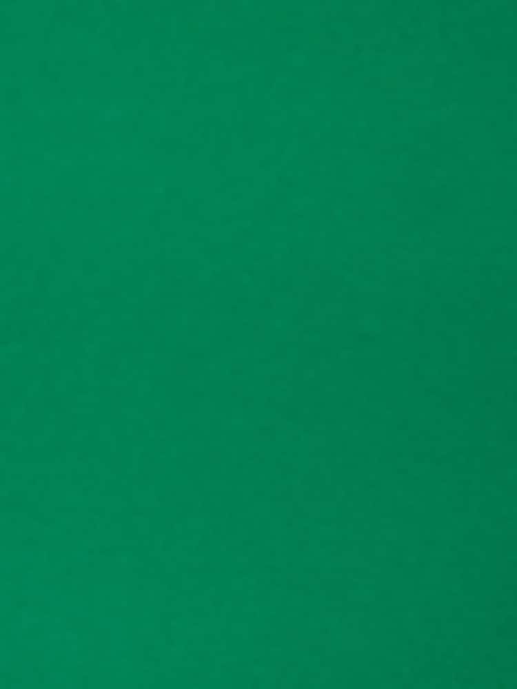 Adrianna Papell Green Bell Sleeve Tie Front Dress - Imagem 7 de 7