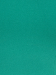 Adrianna Papell Green Crepe Chiffon Gown - Image 7 of 7