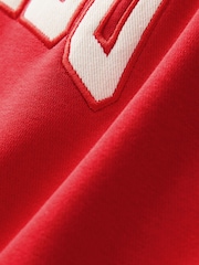 Red Relaxed Fit Colorado American City Graphic Varsity Sweatshirt - Image 6 of 6