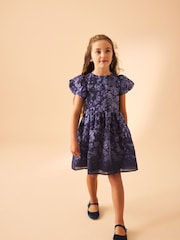 Laura Ashley Navy Heledd Blooms Border Print Organza Dress - Image 1 of 5