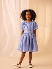 Laura Ashley Pale Blue Willow Floral Organza Prom Dress - Image 1 of 9