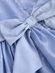 Laura Ashley Pale Blue Willow Floral Organza Prom Dress - Image 9 of 9