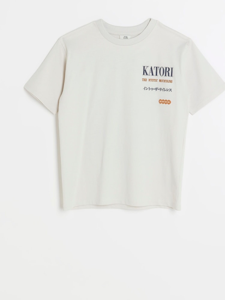 River Island Grey Boys Back Print Graphic Katori Tiger 100% Cotton T-Shirt - Image 2 of 4