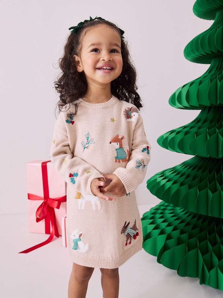 Ecru Marl Christmas Character Jumper Dress (3mths-7yrs) - Image 1 of 8