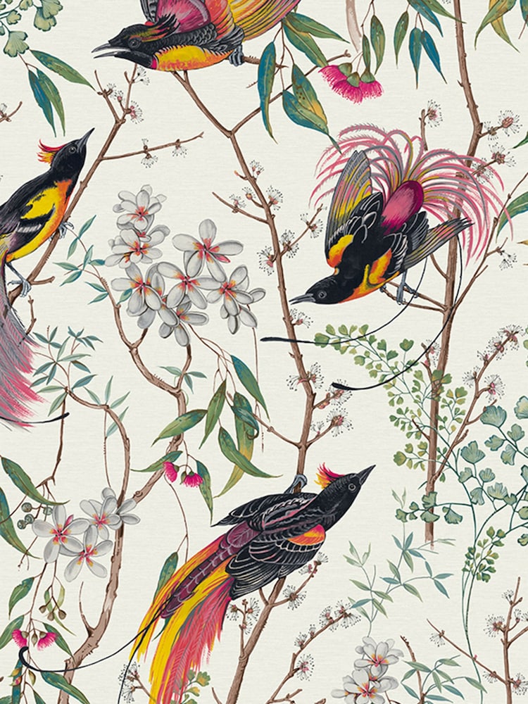 Graham & Brown Day Clavering Birds 10M Wallpaper - Image 2 of 3