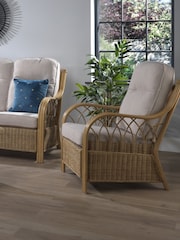 Desser Brown Blue Alpine Viola Conservatory Chair - Image 1 of 2