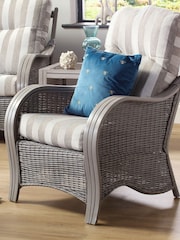Desser Duke Grey Stripe Turin Grey Conservatory Chair - Image 1 of 5