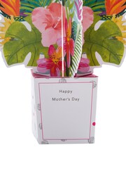 Hallmark Green and Pink Pop Up Mother's Day Card 3D Tropical Flowers - Image 4 of 4