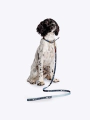 FatFace Grey Dog Collar and Lead Set - Image 1 of 5