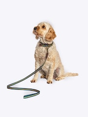 FatFace Blue Dog Collar and  Lead Set - Image 1 of 5