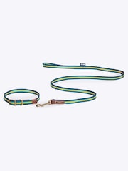 FatFace Blue Dog Collar and  Lead Set - Image 2 of 5