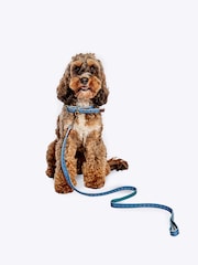 FatFace Blue Dog Collar and  Lead Set - Image 1 of 5
