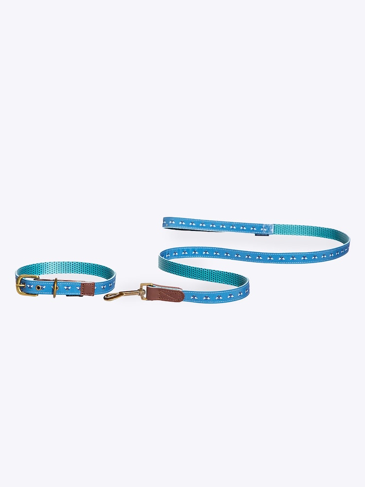 FatFace Blue Dog Collar and  Lead Set - Image 2 of 5