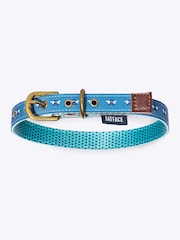 FatFace Blue Dog Collar and  Lead Set - Image 3 of 5