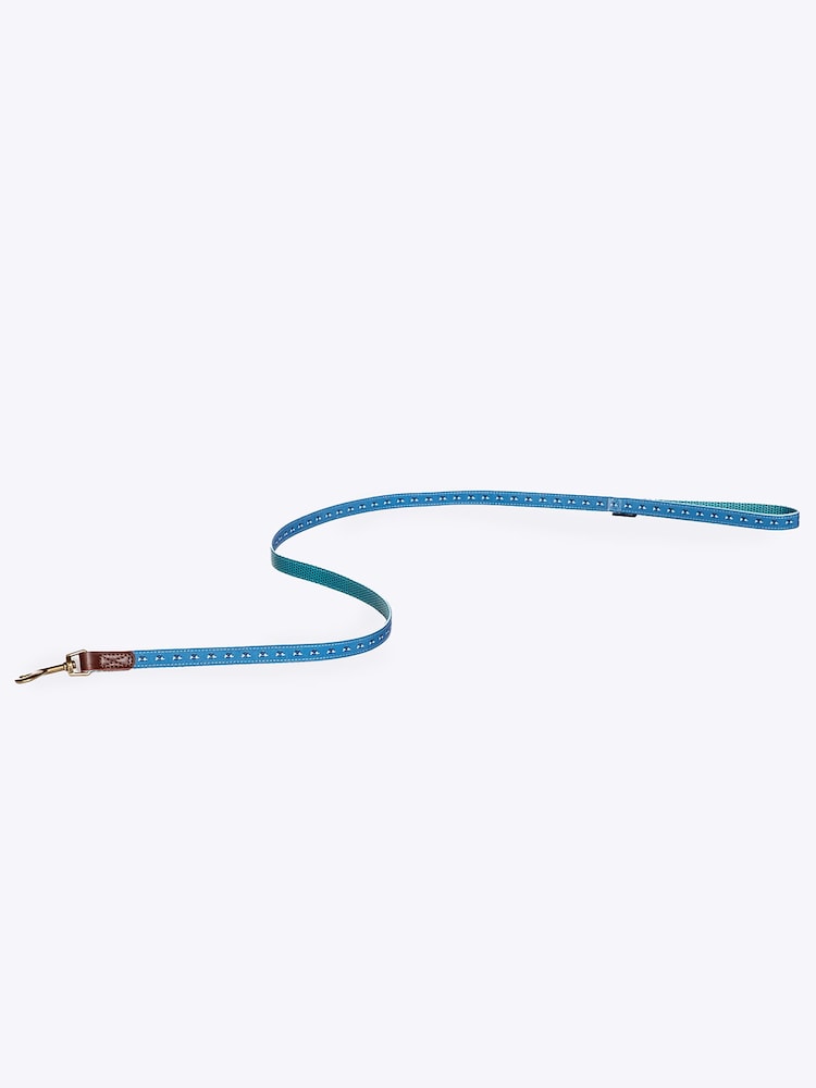 FatFace Blue Dog Collar and  Lead Set - Image 5 of 5