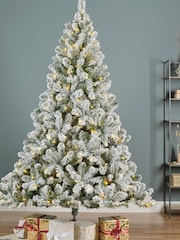 Everlands Green Pre-Lit LED 6ft Imperial Snowy Christmas Tree - Image 1 of 4