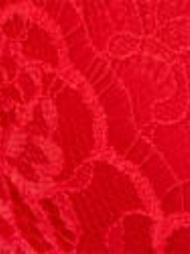 Victoria's Secret Lipstick Red Lace Push Up Bra - Image 3 of 3 Victoria's Secret Lipstick Red Lace Push Up Bra - Image 3 of 3