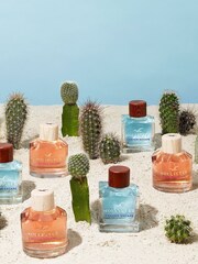 Hollister Canyon Escape for Her Eau de Parfum 100ml - Image 4 of 4