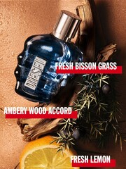 Diesel Sound of the Brave 50ml - Image 3 of 5