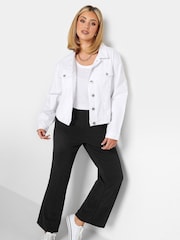 Yours Curve Black Bootcut Ponte Rib Trouser - Image 2 of 4
