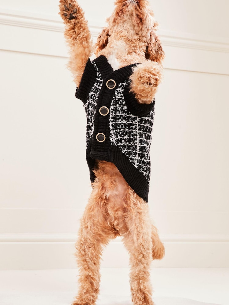 Lipsy Black/White Boucle Knitted Dog Jumper - Image 1 of 4