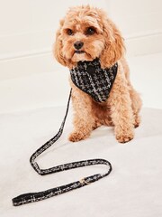 Lipsy Black Print Boucle Dog Lead - Image 2 of 4