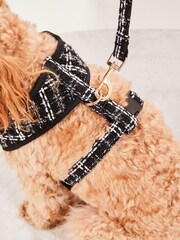 Lipsy Black Print Boucle Dog Lead - Image 4 of 4
