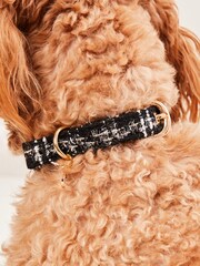 Lipsy Black Print Boucle Dog Collar - Image 3 of 4