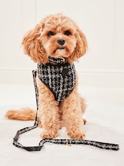 Lipsy Black Print Boucle Dog Collar - Image 4 of 4