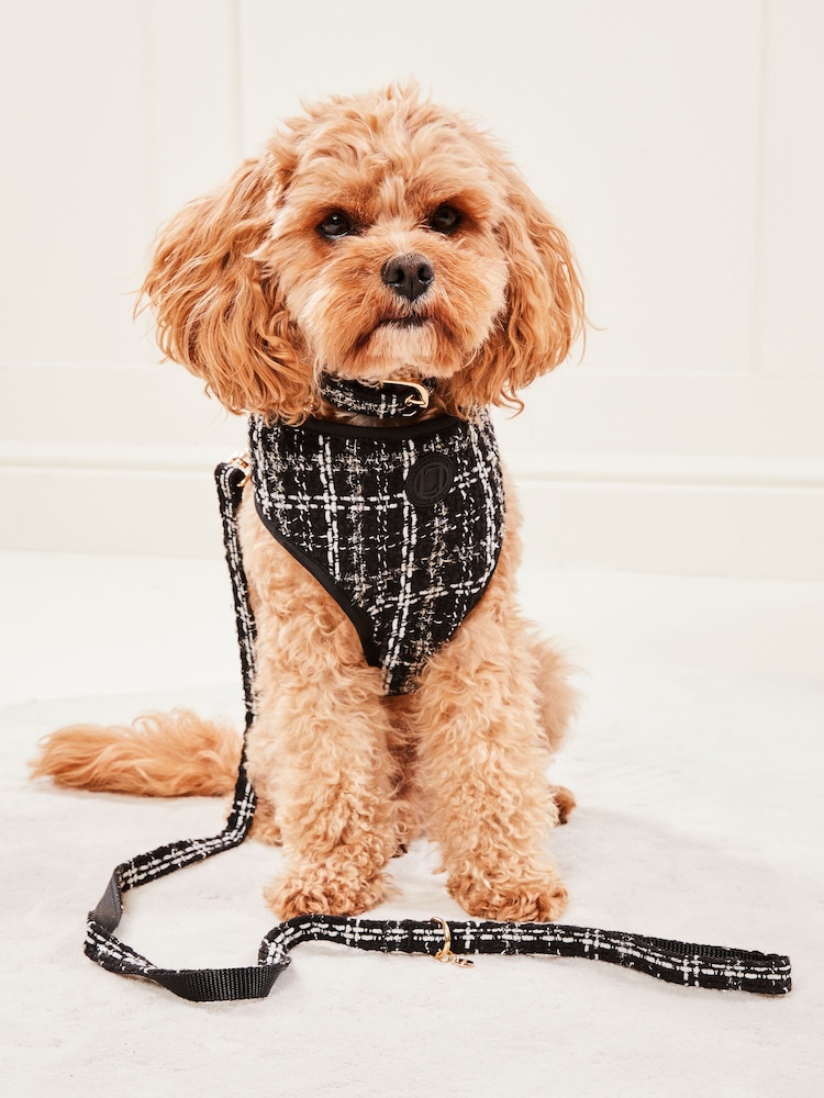 Lipsy Black Print Boucle Dog Collar - Image 4 of 4